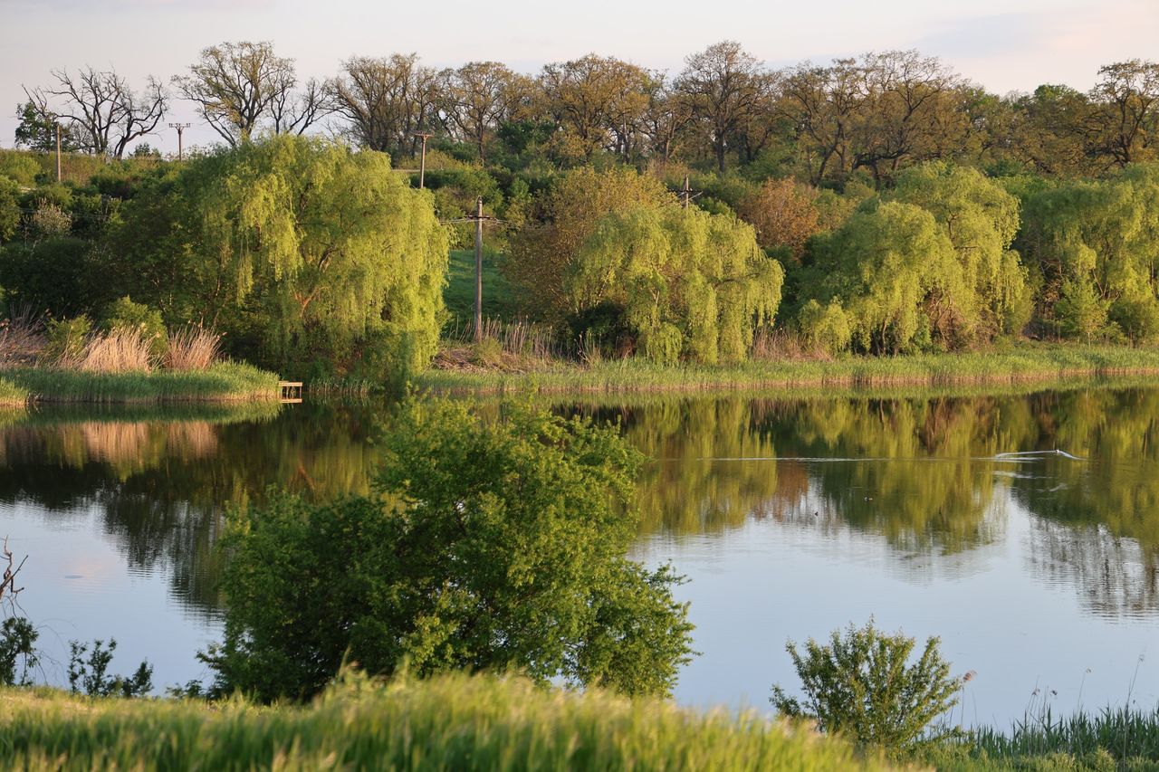 Lacul din apropierea ansamblului YOLA LAC, imaginea 3 din 3.